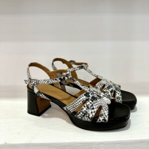 Safari Pop con tacco 50 –  Audley Shoes